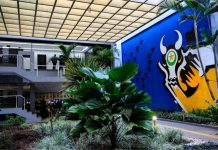 Governo de MT paga salários de janeiro nesta sexta-feira com correção da RGA