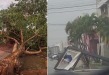 Temporal com granizo e ventos fortes causa destruição no interior de MT; veja vídeo