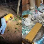 Trio do CV que cobrava taxa de moradores morre após peitar PM em MT