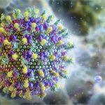 Ministério da Saúde diz que vírus Nipah não ameaça o Brasil