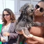 Cão que vigiava porta de UPA à espera de dono falecido ganha novo lar; veja vídeo