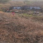 Alagoas: ônibus com romeiros capota e deixa ao menos 15 mortos