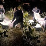 Ex-presidiário de MS é achado morto em Mato Grosso 4 dias após desaparecer