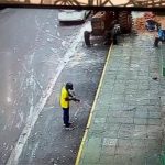 Não é só a fila do ossinho: Homem depena e come pombo vivo em praça de cidade de MT; veja vídeo