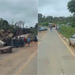 Vídeo mostra moradores saqueando carne de caminhão tombado em MT