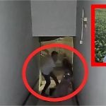 Técnico agrícola é identificado como agressor em série de mulheres em Sorriso; vídeo