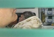 Bolsonaro segue na UTI com ‘antibióticos potentes’ para pneumonia