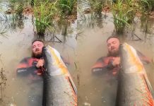 Influenciador viraliza ao pescar pirarucu de mais de 2 metros em rio de MT: ‘A história foi escrita’ (vídeo)