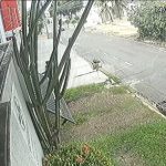 Homem arromba portão de conselho vizinho a escritório de Pedro Taques; veja vídeo