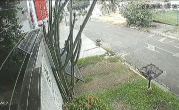 Homem arromba portão de conselho vizinho a escritório de Pedro Taques; veja vídeo