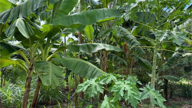 Expedição MT Produtivo mobiliza cooperativas e produtores da agricultura familiar para acesso a recursos públicos