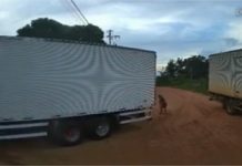 Vídeo mostra momento em que idosa de 104 anos é atropelada em Várzea Grande