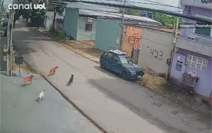 Vídeo: Homem invade calçada com carro, atropela cachorros e acaba preso