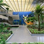 Governo sanciona lei que proíbe conteúdos sobre ‘ideologia de gênero’ em escolas públicas de MT