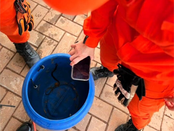 Corpo de Bombeiros resgata três cobras em áreas urbanas de MT