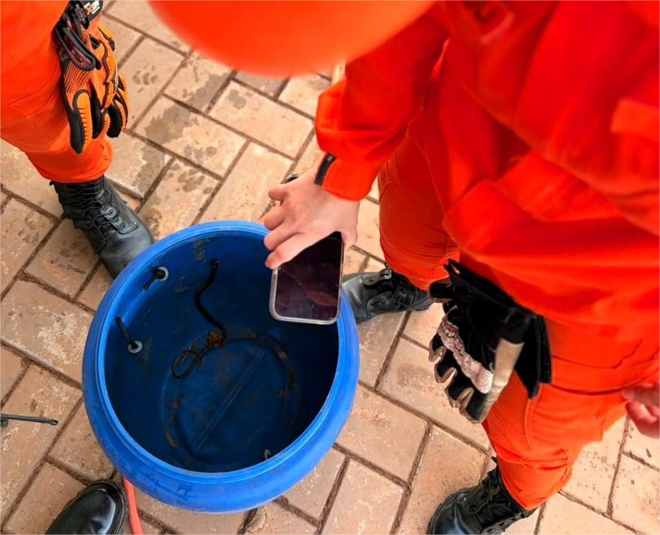 Corpo de Bombeiros resgata três cobras em áreas urbanas de MT