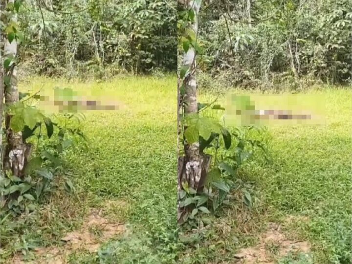 Jovem desaparecida há uma semana é encontrada morta em área de mata