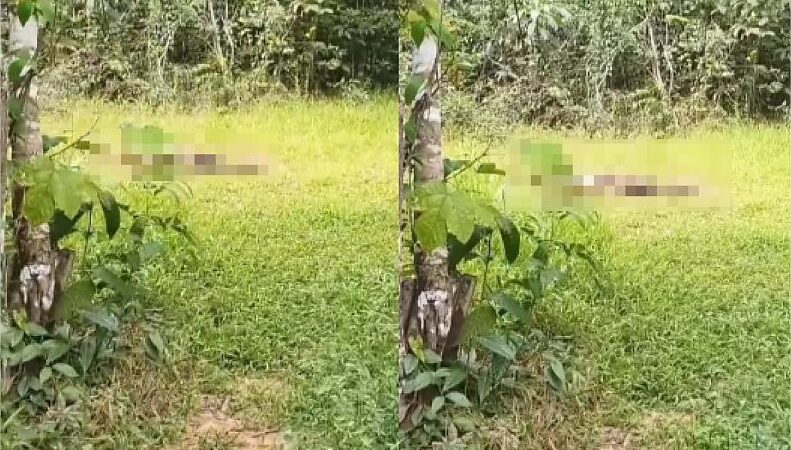 Jovem desaparecida há uma semana é encontrada morta em área de mata