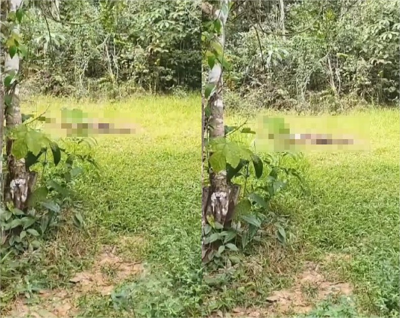 Jovem desaparecida há uma semana é encontrada morta em área de mata