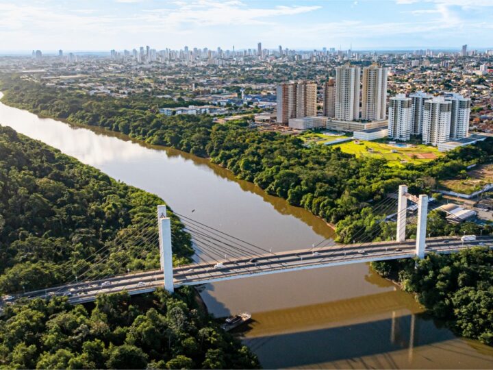 Novas regras são mais rígidas para poda e manejo de árvores em Cuiabá