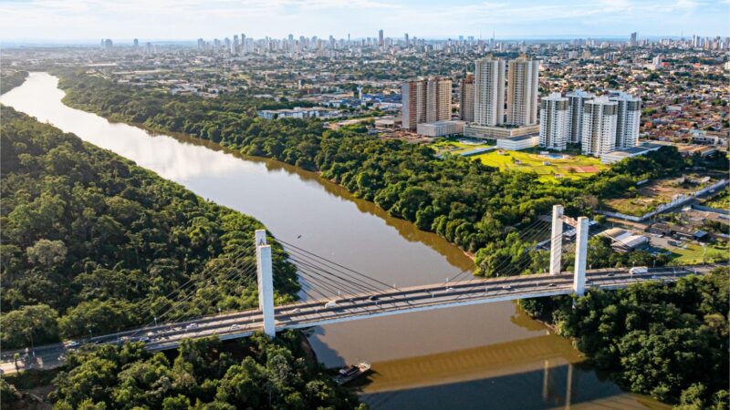 Novas regras são mais rígidas para poda e manejo de árvores em Cuiabá