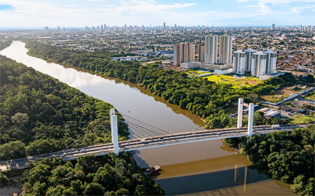 Novas regras são mais rígidas para poda e manejo de árvores em Cuiabá