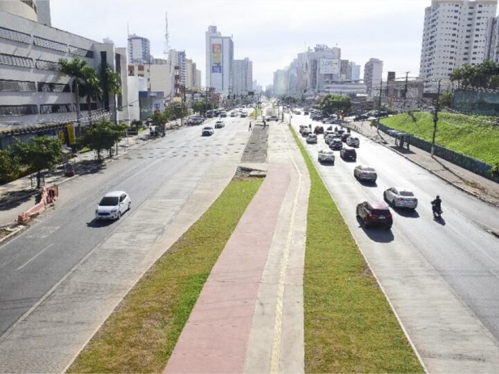 Área arborizada de Cuiabá cai para 26%, segundo pesquisa