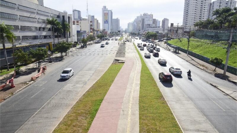 Área arborizada de Cuiabá cai para 26%, segundo pesquisa