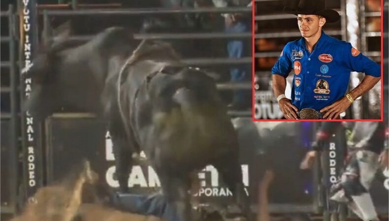 Peão de MT morre após ser pisoteado por touro durante competição em SP; vídeo (imagens fortes)