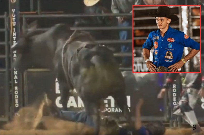 Peão de MT morre após ser pisoteado por touro durante competição em SP; vídeo (imagens fortes)