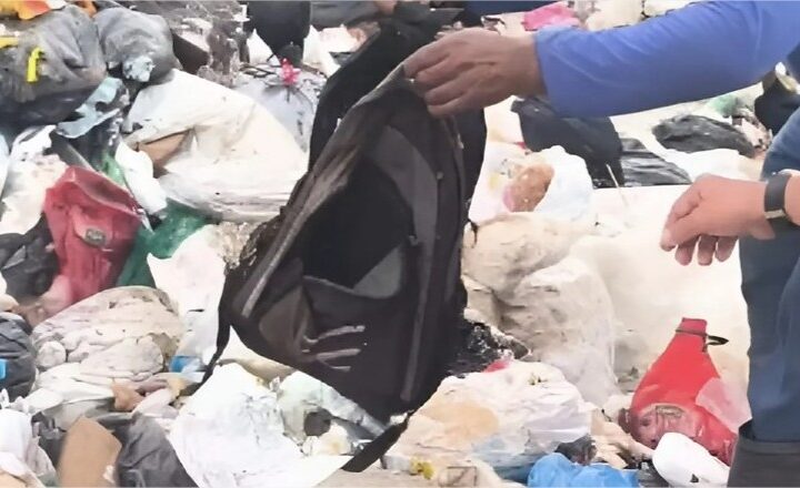 Recém-nascida é encontrada em lixão e socorrida por catadores; não resistiu