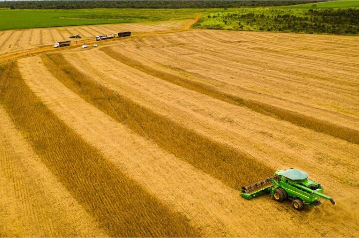 Mato Grosso consolida safra 25/26 com produção recorde e mantém liderança na soja há 26 safras