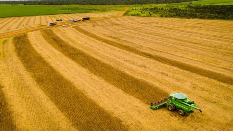 Mato Grosso consolida safra 25/26 com produção recorde e mantém liderança na soja há 26 safras
