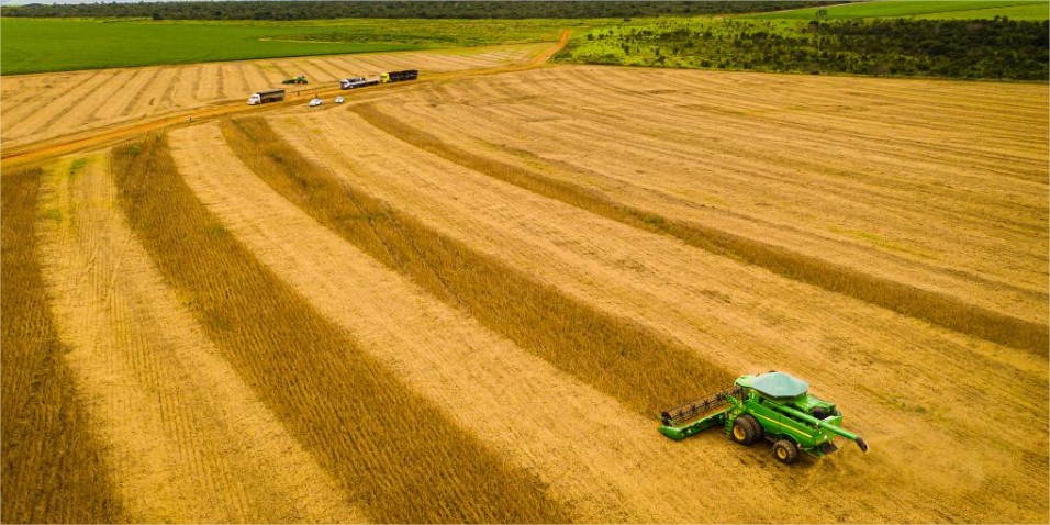 Mato Grosso consolida safra 25/26 com produção recorde e mantém liderança na soja há 26 safras