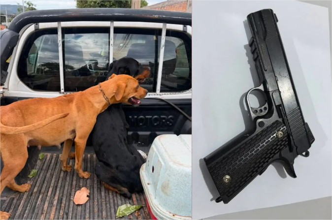 Sem água e comida: 4 cães são resgatados e duas pessoas detidas em Barra do Garças