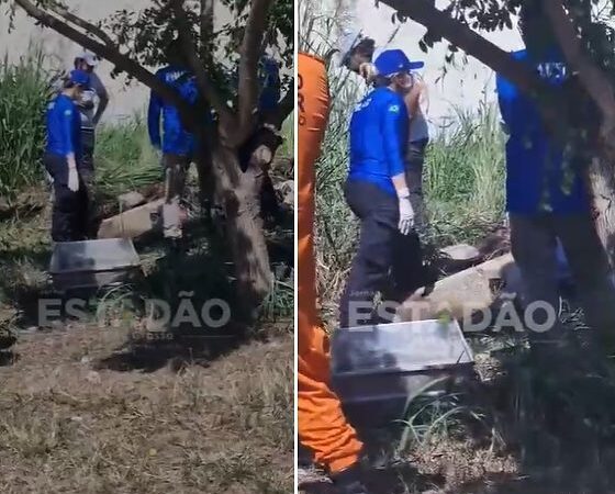 Bombeiros encontram corpo de mulher durante combate a incêndio em VG