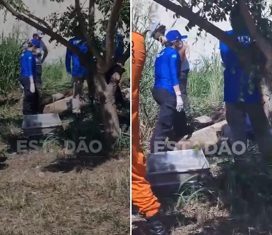 Bombeiros encontram corpo de mulher durante combate a incêndio em VG