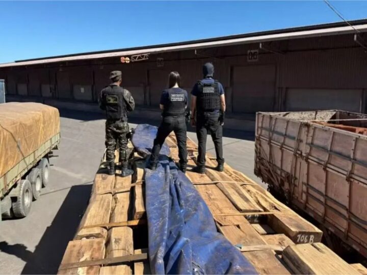 Caminhões são flagrados em MT e MS com madeira que escondia cocaína líquida em maior apreensão da história do Brasil, estima Receita