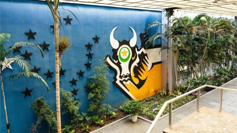 Governo de MT decreta ponto facultativo na segunda-feira para jogo do Brasil