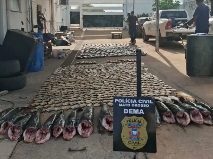 Pintado, dourado e piraputanga: 900 kg de pescado ilegal são apreendidos em MT