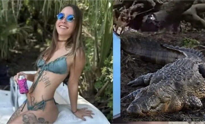 Mulher é atacada por jacaré gigante, tem os braços arrancados e morre após ser resgatada