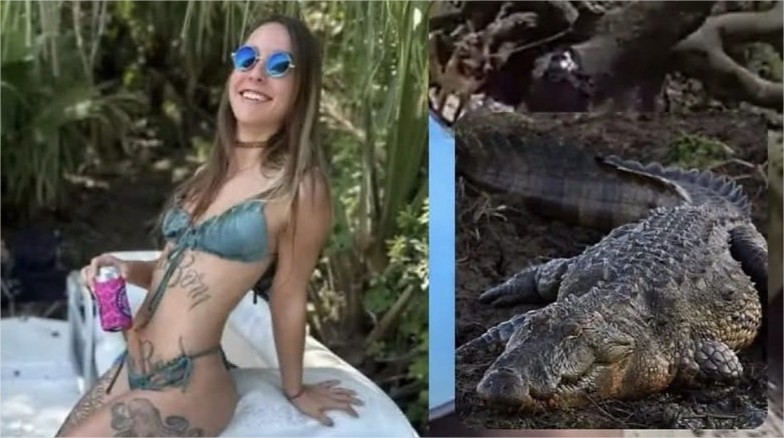 Mulher é atacada por jacaré gigante, tem os braços arrancados e morre após ser resgatada