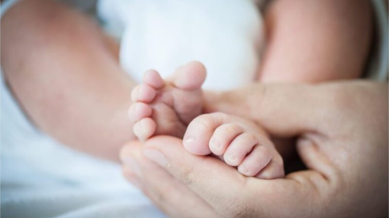Bebê é resgatada em área de mata após denúncia de maus-tratos; adolescente é apreendida