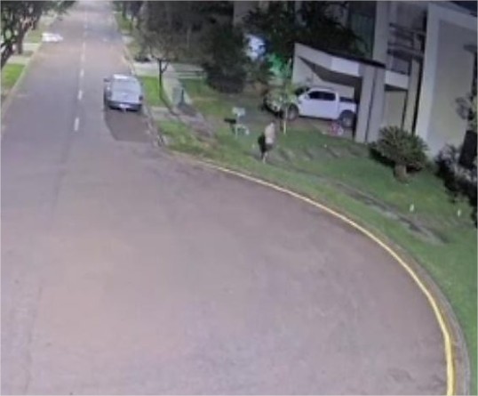 Jovem morador de condomínio de luxo pula muro e furta casas no Belvedere; vídeo