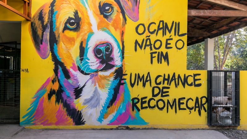Cuiabá abre credenciamento para ampliar rede de atendimento veterinário