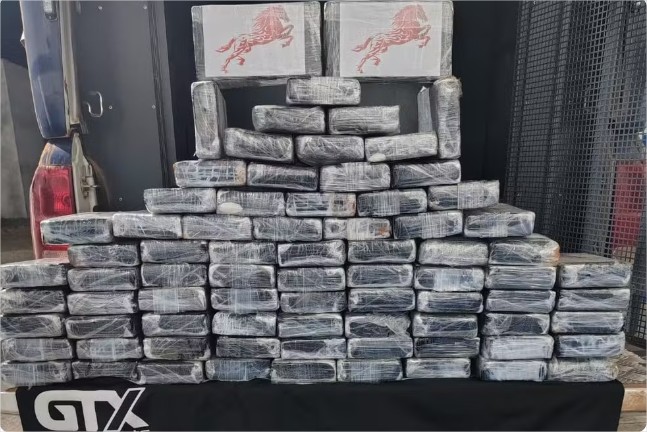 Avião com duas pessoas mortas e carga de cocaína é encontrado em área rural de MT