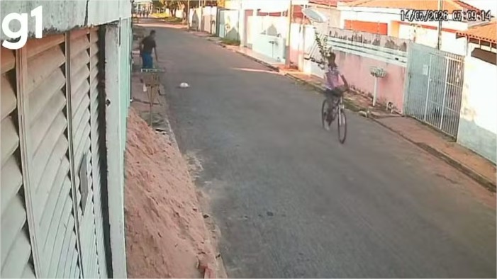 Câmeras de segurança flagram homem agredindo gato até a morte em MT