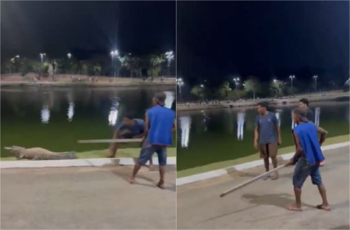 Abilio reage à agressão contra Celso: Tinha gente torcendo pelo jacaré (vídeo)