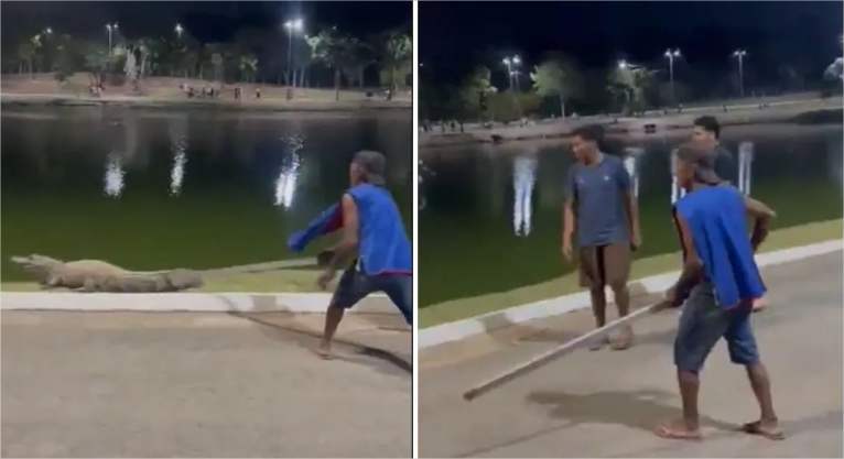 Vídeo: jacaré ‘Celso’ é agredido por visitantes no Parque das Águas