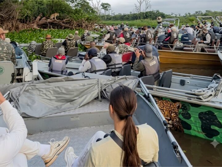 Vídeo mostra fila de barcos para ver onça em MT e viraliza nas redes; veja